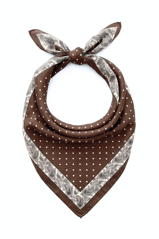 Polka Dot Paisley Border Scarf – Brown
