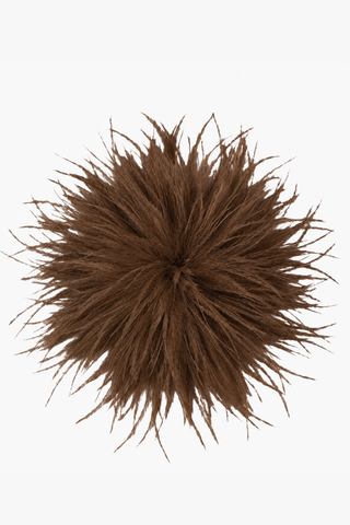 Feather Brooch - Brown